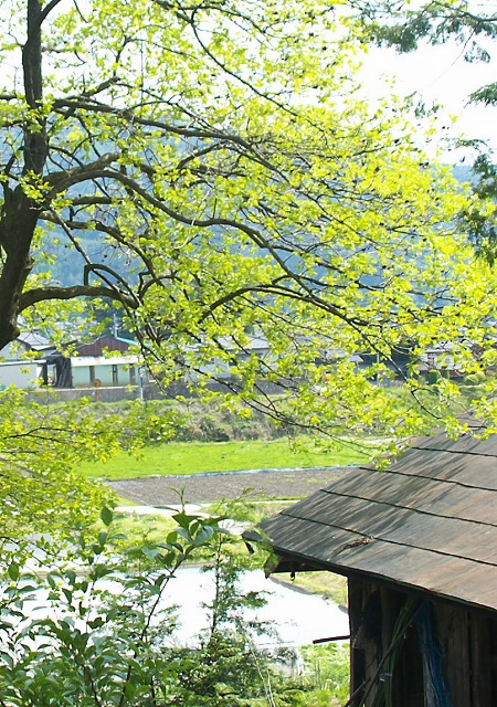 c86f28e1.jpg