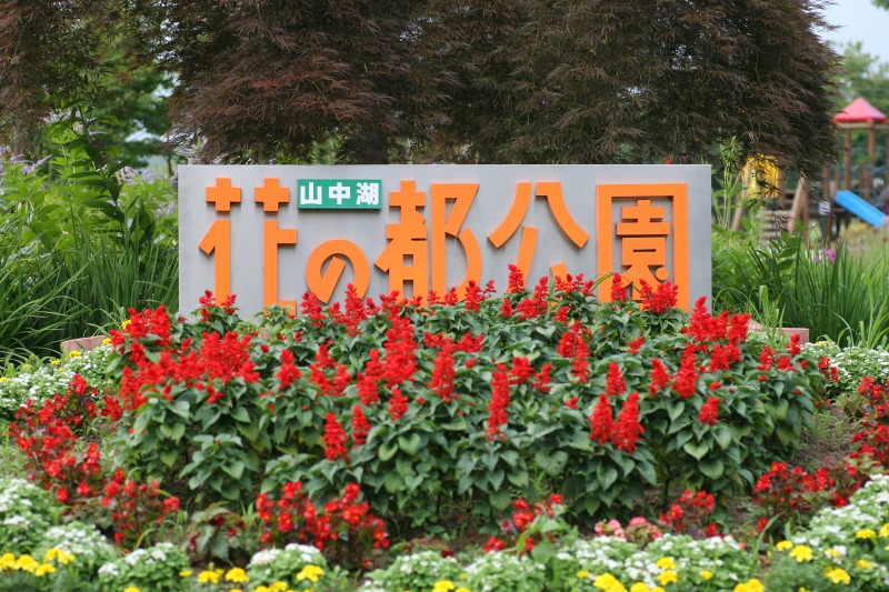 cd74ecd0.jpg