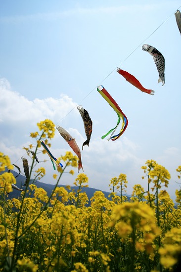 cfb32cf7.jpg