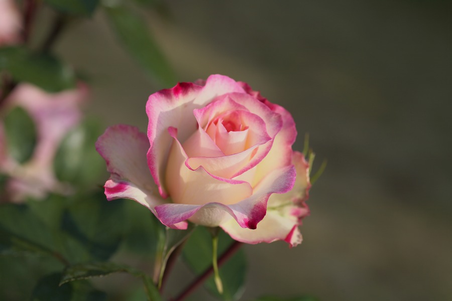 d0b5296b.jpg