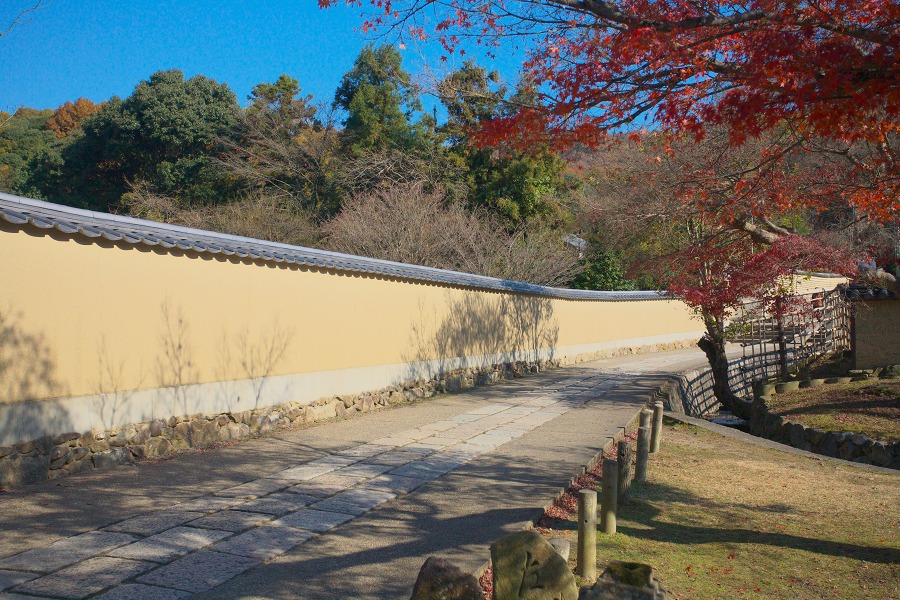 d47326e9.jpg
