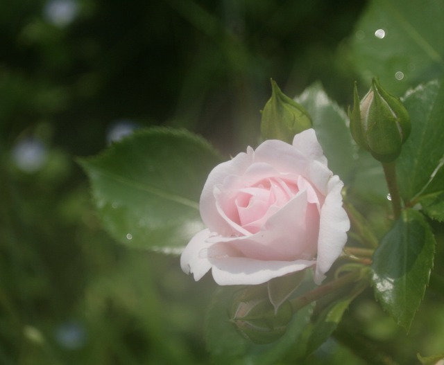 d515b040.jpg