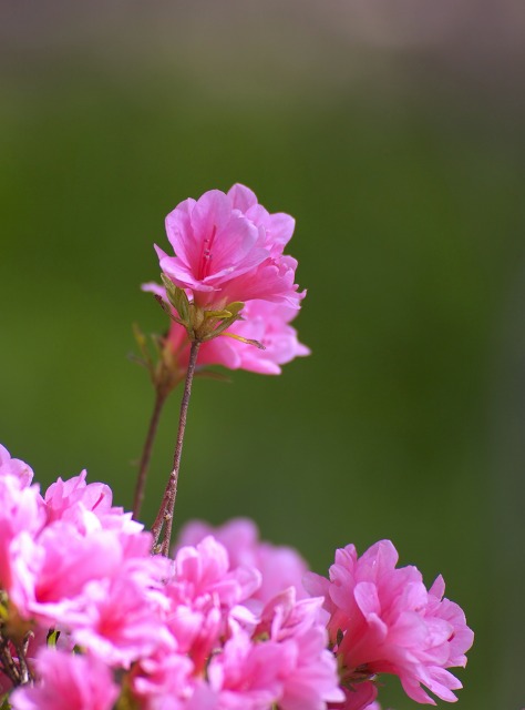 d5fd9936.jpg