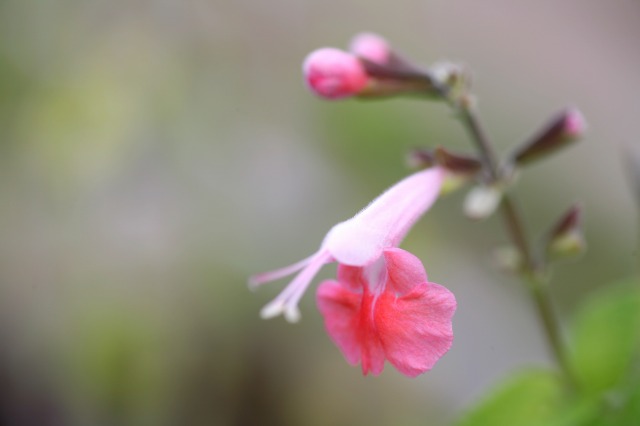 d623a8ab.jpg