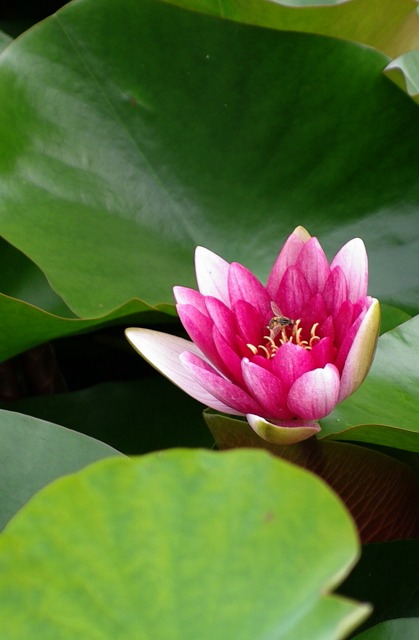 d7ba245e.jpg