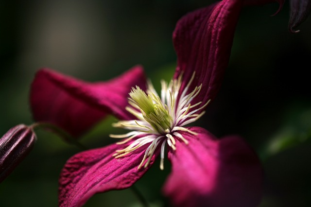 d7c7d074.jpg