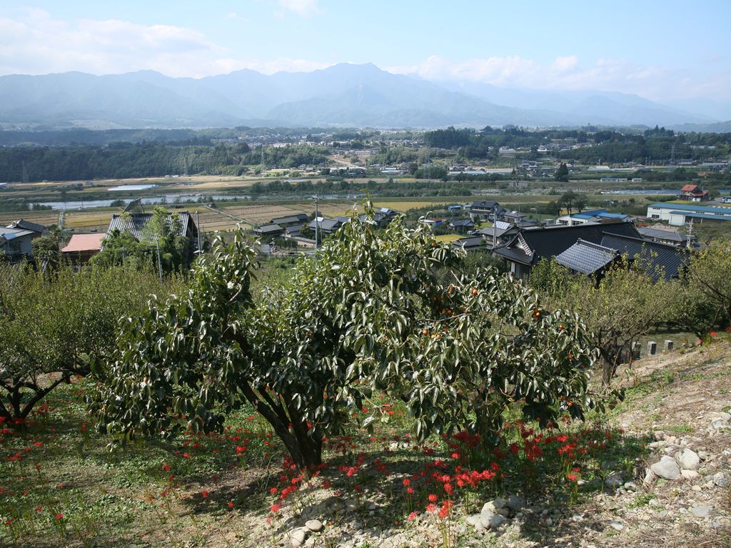 dc2b3715.jpg