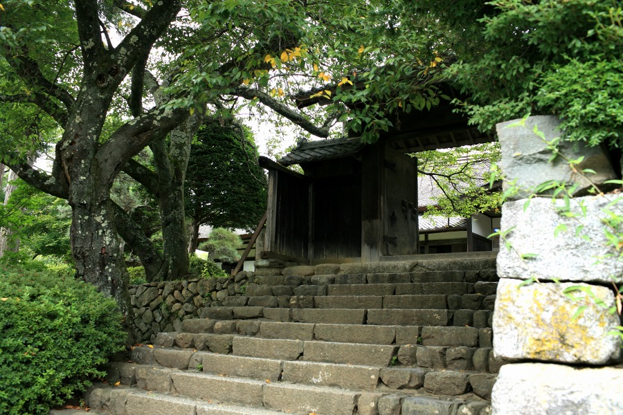 e00928ca.jpg