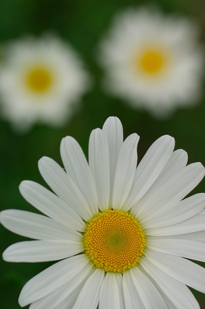 e25f025c.jpg