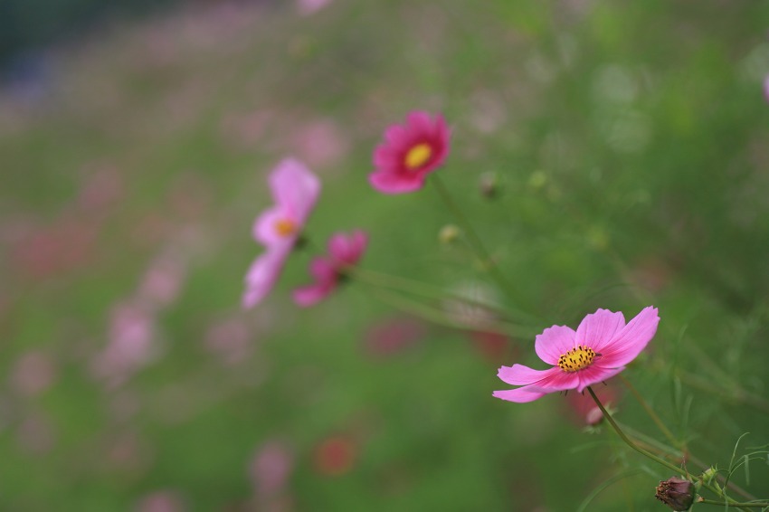 e9fc9861.jpg