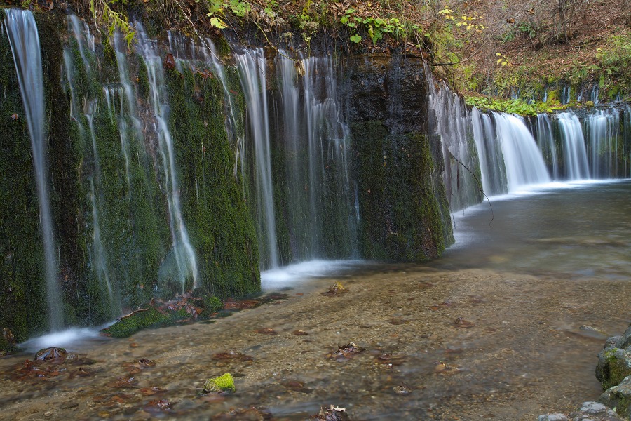 ef8c6c84.jpg