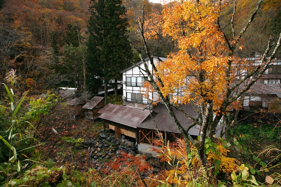 f3825046.jpg