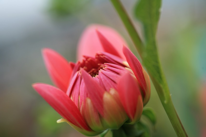 f3d62465.jpg
