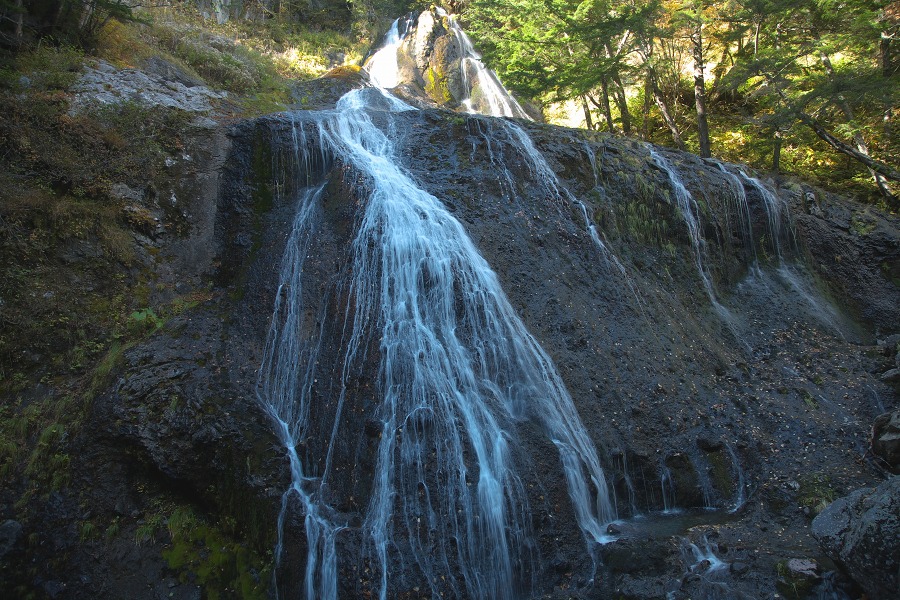 fe0f9763.jpg