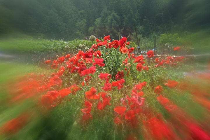 fe6a9579.jpg