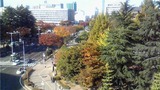 032688a9.jpg
