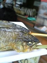 73293c00.jpg