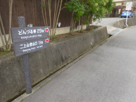 007