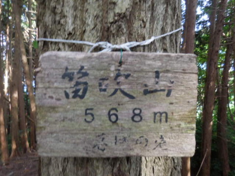031