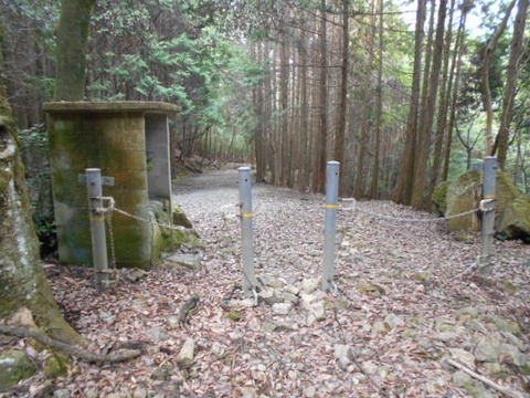 050