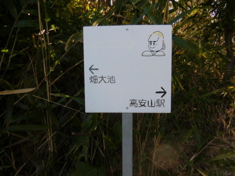 050