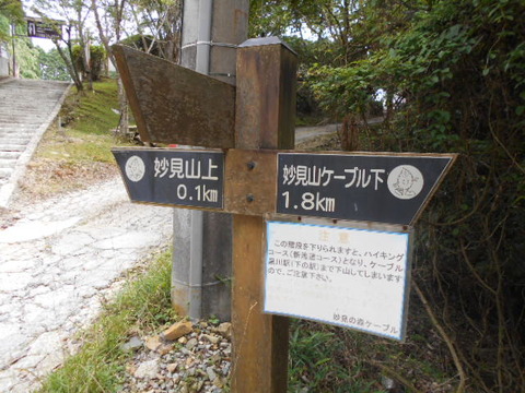 007