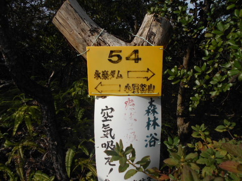 052