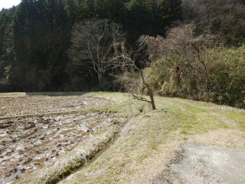 070
