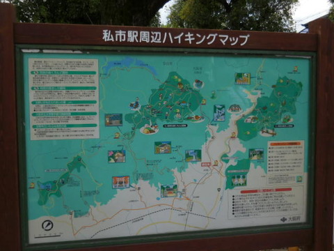 041