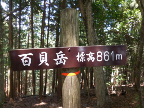 064