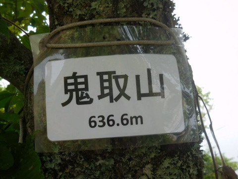 036