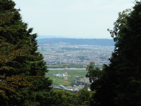 020