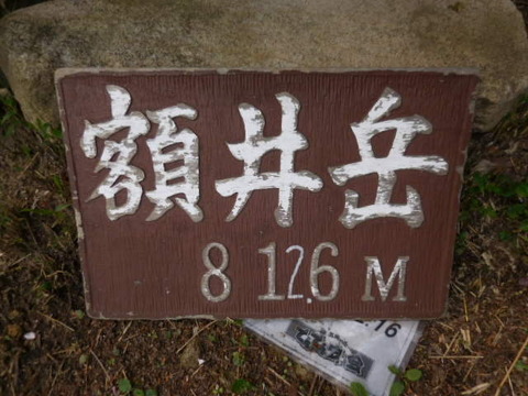 041