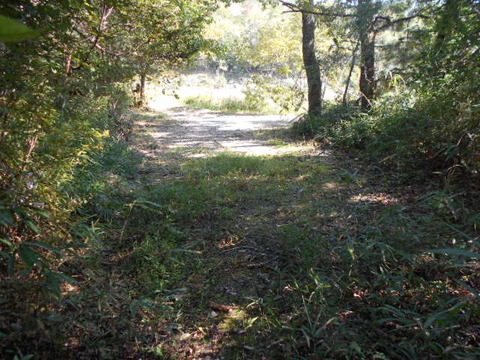 060