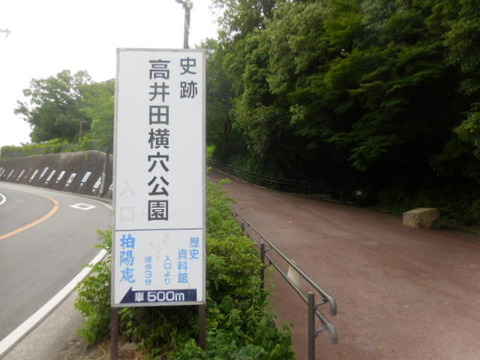 009