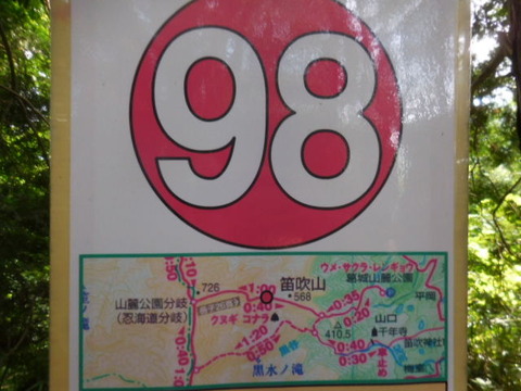 029