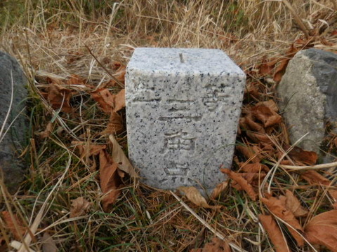 121