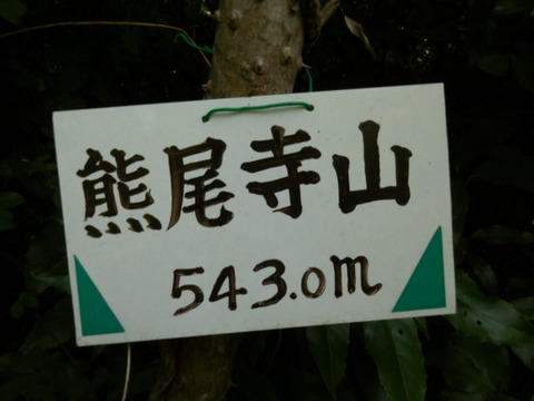063