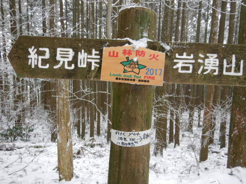 050
