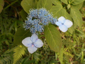 008