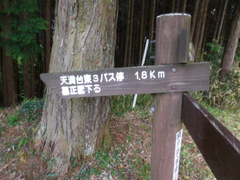 050