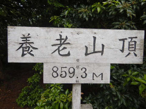 041