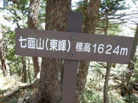 041