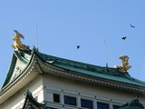 名古屋城にて5