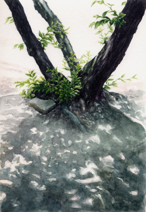 作品紹介] 「木漏れ日」透明水彩 「絵筆と旅して展」(2013