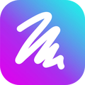 PicsArt Color ペイント