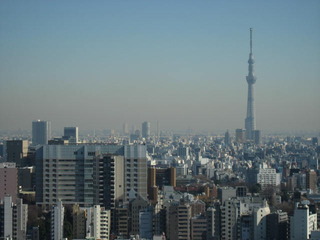 文京文京シビックホール展望室より眺める東京スカイツリー