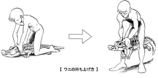 ワニの持ち上げ方