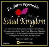�٥ӡ��꡼�ա�salad kingdom��