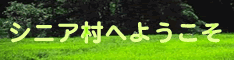 ¥·¥Ë¥¢Â¼